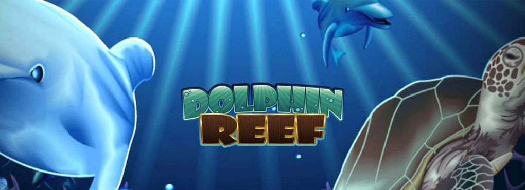 Head on Down to the Dolphin Reef