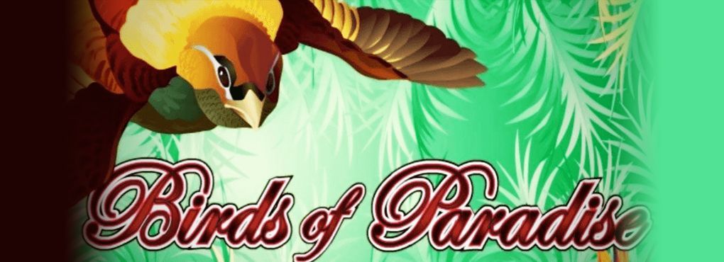 Look for Some Birds of Paradise to Win Prizes