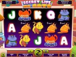Secret Life Of Cats Slots
